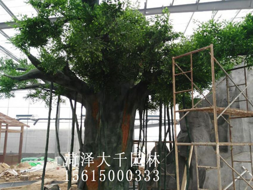 點擊查看詳細信息<br>標題：假樹 閱讀次數：1371