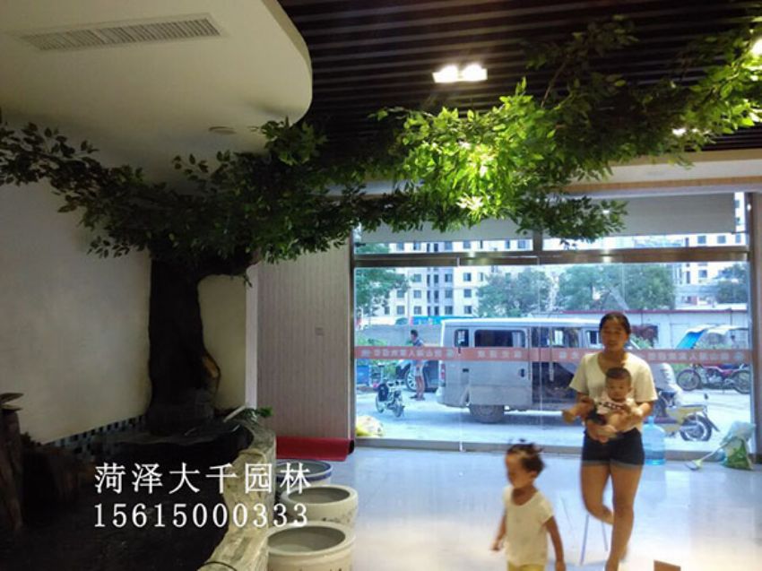 點(diǎn)擊查看詳細(xì)信息<br>標(biāo)題：假樹(shù) 閱讀次數(shù)：1331