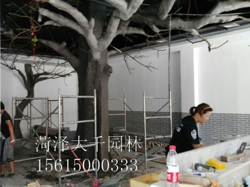 點擊查看詳細(xì)信息<br>標(biāo)題：假樹 閱讀次數(shù)：1307
