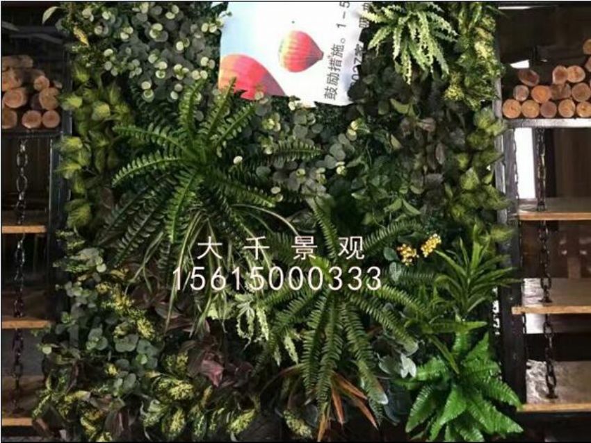 點(diǎn)擊查看詳細(xì)信息<br>標(biāo)題：綠植墻 閱讀次數(shù)：1335