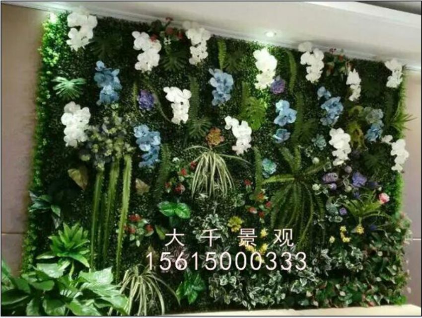 點(diǎn)擊查看詳細(xì)信息<br>標(biāo)題：綠植墻 閱讀次數(shù)：1641