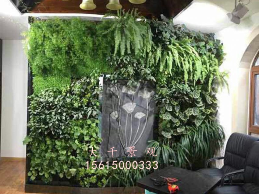 點(diǎn)擊查看詳細(xì)信息<br>標(biāo)題：綠植墻 閱讀次數(shù)：1687