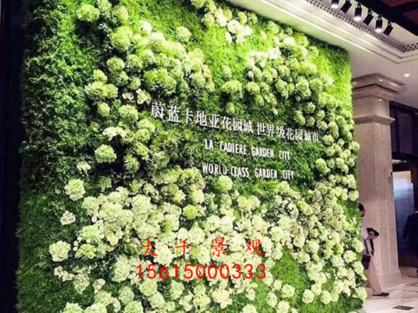 點(diǎn)擊查看詳細(xì)信息<br>標(biāo)題：綠植墻 閱讀次數(shù)：1973