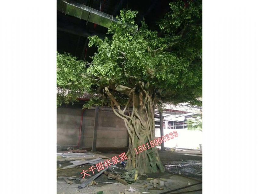 點(diǎn)擊查看詳細(xì)信息<br>標(biāo)題：假樹(shù) 閱讀次數(shù)：2355